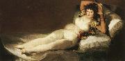 Francisco Goya The Clothed Maja china oil painting reproduction